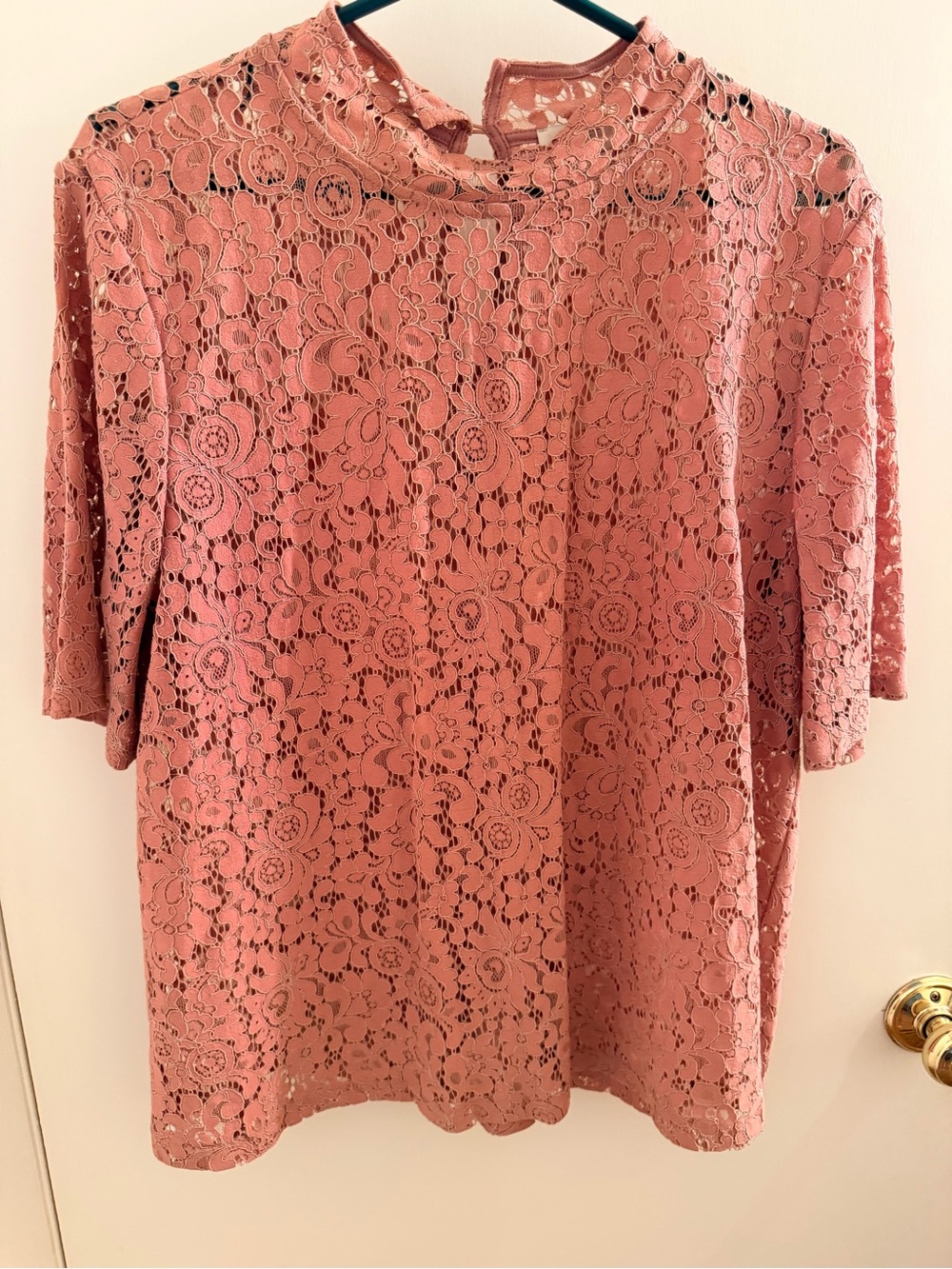 LOFT Dusty Rose Lace Short Sleeve Blouse